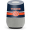 Auburn University Tigers AU Google Home Skin